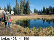 Family near a small round  Dog Lake and  coniferous forest,  Lake Mary Trail,  Uinta-Wasatch-Cache national forest. Utah, USA (2014 год). Стоковое фото, фотограф Ирина Кожемякина / Фотобанк Лори