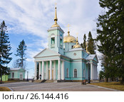Церковь святых мучениц Веры, Надежды, Любови и Софии (Софийская церковь) в Вартемягах, Ленинградская область (2017 год). Стоковое фото, фотограф Алина Сбитнева / Фотобанк Лори