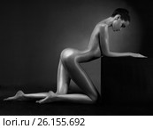 Молодая красивая девушка с идеальной фигурой танцует эротический стриптиз танец в ночном клубе. Портрет сексуальной обнаженной женщины с красивым телом. художественная эротика со страстной фотомоделью показывающей голые части тела. Стоковое фото, фотограф Майер Георгий Владимирович / Фотобанк Лори