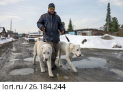 Мужчина выгуливает двух собак по весенней дороге. Стоковое фото, фотограф Светлана Попова / Фотобанк Лори