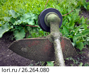 The head of the lawnmower reel after grass mowing. Стоковое фото, фотограф Oleksandr Khalimonov / Фотобанк Лори