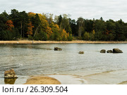 The coast of the Finnish Gulf of the Baltic sea in autumn (2016 год). Стоковое фото, фотограф Александр Белов / Фотобанк Лори