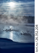 Snags in the river water in winter Moon night. Стоковое фото, фотограф Сергей Пристяжнюк (Serg Zastavkin) / Фотобанк Лори