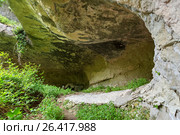Spring at rock of Cave City in Cherkez-Kermen Valley, Crimea. Стоковое фото, фотограф Юлия Машкова / Фотобанк Лори