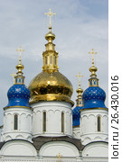 Тобольск. Купола Софийско-Успенского собора Тобольского Кремля (2008 год). Редакционное фото, фотограф Дмитрий Щукин / Фотобанк Лори