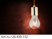 Modern economical LED lighting. LED lamp on a wooden table. Стоковое фото, фотограф Alexander / Фотобанк Лори