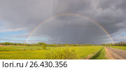 Colorful rainbow after the storm passing over a field near the road. Стоковое фото, фотограф Дмитрий Петраков / Фотобанк Лори