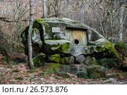 Сочи, село Волконское, долмен-монолит в долине ручья Годлик. Стоковое фото, фотограф glokaya_kuzdra / Фотобанк Лори