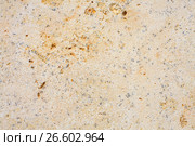 Multicolored limestone. Стоковое фото, фотограф Gennadiy Iotkovskiy / Фотобанк Лори