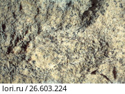 Grunge background close-up. Стоковое фото, фотограф Gennadiy Iotkovskiy / Фотобанк Лори