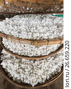 Many silk cocoons on bamboo trays. Стоковое фото, фотограф Александр Подшивалов / Фотобанк Лори