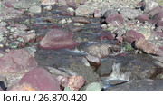 Река Их Сайр в урочище Цагдуулт в Монголии / Rapids and stones of small mountain river Ih Sair in natural boundary Tsagduult, Mongolia (2017 год). Стоковое видео, видеограф Сергей Пристяжнюк (Serg Zastavkin) / Фотобанк Лори