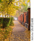 Городская аллея осенним утром (2007 год). Стоковое фото, фотограф Игорь Камаев / Фотобанк Лори