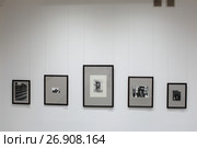 Фотовыставка "Рождённые в СССР" в Картинной галерее города Балашихи (2017 год). Редакционное фото, фотограф Дмитрий Неумоин / Фотобанк Лори