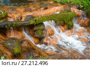 Маленький водопад на реке, вытекающей из Мшенских родников. Стоковое фото, фотограф Pukhov K / Фотобанк Лори
