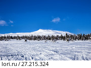 Зимний вид на гору Ослянка. Пермский край. Северный Урал. Стоковое фото, фотограф Евгений Ткачёв / Фотобанк Лори