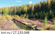 Река Куркурек на плато Ештыкель, Алтай / Video panorama of North Chuiskiy Ridge with stones on foreground and larch forest on background in Autumn. Altai. Стоковое видео, видеограф Сергей Пристяжнюк (Serg Zastavkin) / Фотобанк Лори