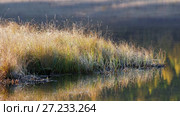 Озеро Джангысколь на плато Ештыкель, Алтай / Reflection of autumn forest with Larix sibirica in water of mountain lake Dzhangyskol on Eshtyke plateau. Altai. Стоковое видео, видеограф Сергей Пристяжнюк (Serg Zastavkin) / Фотобанк Лори