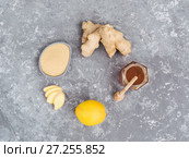 Top view of ginger slice, ginger root, ginder powder, lemon and honey. Стоковое фото, фотограф Ольга Сергеева / Фотобанк Лори