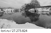 Зима. Деревья у реки. Стоковое видео, видеограф Яна Королёва / Фотобанк Лори