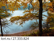 Lake Synevyr autumn view. Стоковое фото, фотограф Юрий Брыкайло / Фотобанк Лори