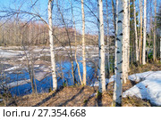 Весенний пейзаж. Стоковое фото, фотограф Икан Леонид / Фотобанк Лори