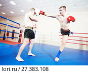 Muay thai sportsman fighting at boxing ring. Стоковое фото, фотограф Дмитрий Калиновский / Фотобанк Лори