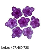 violet candy of Madrid. Стоковое фото, фотограф Tamara Kulikova / Фотобанк Лори