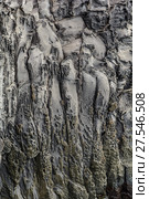 Frozen currents of volcanic lava. Стоковое фото, фотограф Konstantin Shabalin / Фотобанк Лори