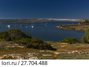 portugal algarve 20102015 nature travel. Стоковое фото, фотограф Peter Engelke / PantherMedia / Фотобанк Лори
