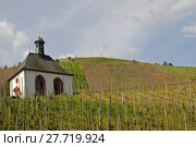 vineyard chapel vines mosel riesling. Стоковое фото, фотограф Herbert Esser / PantherMedia / Фотобанк Лори