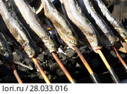 Trout on grill ( Trout festival, Tapolca ) , Hungary. Стоковое фото, фотограф Gábor Páll / PantherMedia / Фотобанк Лори