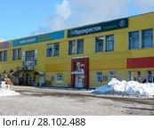 Сетевой магазин фиксированных цен "Home Market", супермаркет "Перекресток", международная сеть ресторанов общественного питания "KFC". ТЦ "Подсолнухи". Открытое шоссе, 9, строение 1. Район Богородское. Москва (2018 год). Редакционное фото, фотограф lana1501 / Фотобанк Лори