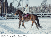 Winter teenage girl jump horse ride jumping. Стоковое фото, фотограф Julia Shepeleva / Фотобанк Лори