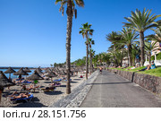 Пляж Playa del Camison и пешеходная аллея Франсиско Андраде Фумеро, город Лос Кристианос, остров Тенерифе, Канары, Испания (2016 год). Редакционное фото, фотограф Кекяляйнен Андрей / Фотобанк Лори