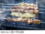 Spits with pieces of meat on the grill over hot coals, close-up. Стоковое фото, фотограф Losevsky Pavel / Фотобанк Лори