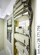 Telecom equipment with cables and switches in communication center. Стоковое фото, фотограф Losevsky Pavel / Фотобанк Лори
