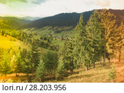 Image of Karpaty mountains (2017 год). Стоковое фото, фотограф Яков Филимонов / Фотобанк Лори