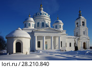 Церковь Сошествия Святого Духа (Духовская церковь) в селе Новое, Переславский район, Ярославская область (2018 год). Стоковое фото, фотограф Natalia Sidorova / Фотобанк Лори