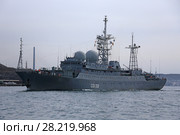 Средний разведывательный корабль проекта 864 ССВ-208 «Курилы» в бухте Золотой Рог. Город Владивосток (2018 год). Редакционное фото, фотограф Алексей Гусев / Фотобанк Лори
