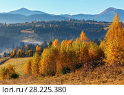 Autumn Carpathian village, Ukraine. (2017 год). Стоковое фото, фотограф Юрий Брыкайло / Фотобанк Лори
