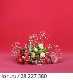 Blossom of beautiful flowers roses. Стоковое фото, фотограф ElenArt / Фотобанк Лори