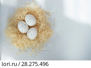 Easter. Стоковое фото, фотограф Дарья Богитова / Фотобанк Лори