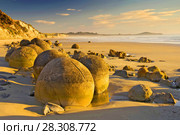 The Moeraki Boulders are unusually large and spherical boulders lying along a stretch of Koekohe Beach on the wave-cut Otago coast of New Zealand between Moeraki and Hampden. Стоковое фото, агентство BE&W Photo / Фотобанк Лори
