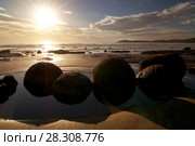 The Moeraki Boulders are unusually large and spherical boulders lying along a stretch of Koekohe Beach on the wave-cut Otago coast of New Zealand between Moeraki and Hampden. Стоковое фото, агентство BE&W Photo / Фотобанк Лори