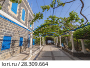 The vine garden patio at the Greek Orthodox Church of the Seven Apostles near Capernaum, Israel, Holy and, Middle East. Стоковое фото, агентство BE&W Photo / Фотобанк Лори