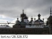 Колючая проволока на фоне храма. Россия, Соловки (2013 год). Стоковое фото, фотограф Яковлев Сергей / Фотобанк Лори