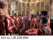 Пасхальный визит митрополита Ювеналия в Богородское благочиние 2017 год. Редакционное фото, фотограф Дмитрий Неумоин / Фотобанк Лори