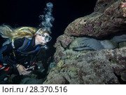 Female scuba diver looks at group of moray eels in the night. Yellow-edged moray or Speckled moray (Gymnothorax flavimarginatus) (2018 год). Редакционное фото, фотограф Некрасов Андрей / Фотобанк Лори