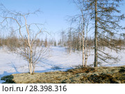 Заполярье, Ямало-Ненецкий округ, Тазовский район, месторождение "Русское", в 135 км от порта Находка Тюменской области гигантское месторождение тяжелой нефти, газа, кустовая площадка с подъездными путями, окрестные заполярные пейзажи. Весна, снег, проталины, мох. Стоковое фото, фотограф Александр Циликин / Фотобанк Лори